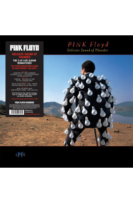 Pink Floyd - Delicate Sound of Thunder (LP) 