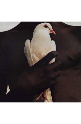 Santana - Greatest Hits (LP) 