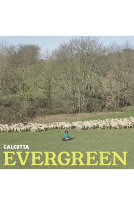 Calcutta - Evergreen (LP) 