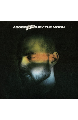 Asgeir Trausti - Bury The Moon 