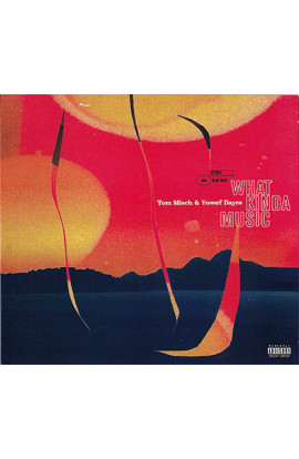 Tom Misch & Yussef Dayes - What Kinda Music (CD) 
