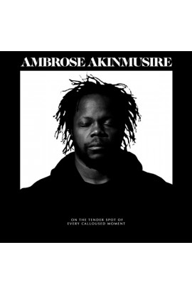 Ambrose Akinmusire - On The Tender Spot Of Every Calloused Moment (LP) 