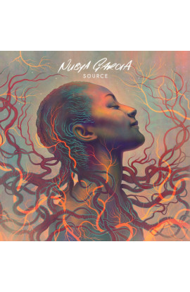 Nubya Garcia - Source (LP) 