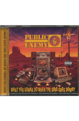 Public Enemy - What You Gonna Do When The Grid Goes Down? (CD) 