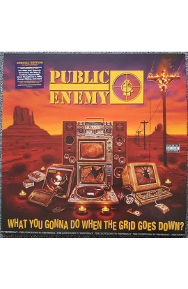 Public Enemy - What You Gonna Do When The Grid Goes Down? (LP) 