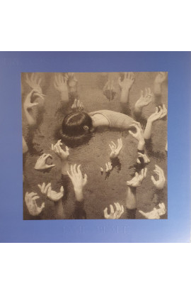 James Blake - Friends That Break Your Heart (LP) 