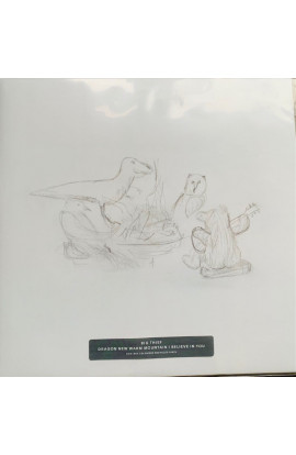 Big Thief - Dragon New Warm Mountain I Believe In You (LP) 