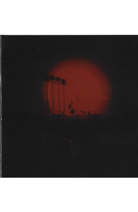 The Afghan Whigs - How Do You Burn? (CD) 