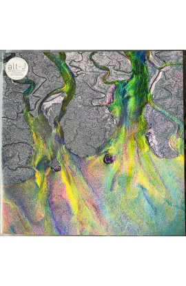 Alt-J - An Awesome Wave (LP) 