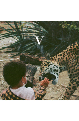 Unknown Mortal Orchestra - V (CD) 