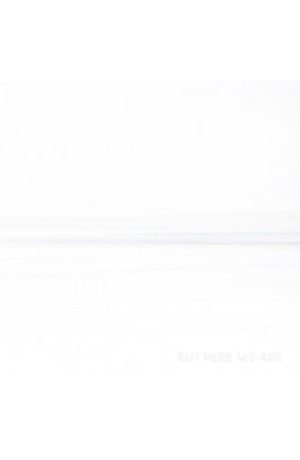 Foo Fighters - But Here We Are (CD) 