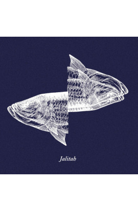 Iosonouncane, Paolo Angeli - Jalitah (LP) 