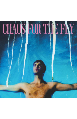Grian Chatten - Chaos For The Fly (CD) 