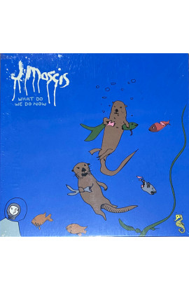J Mascis - What Do We Do Now (CD) 