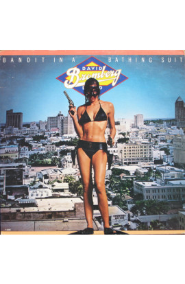 David Bromberg Band - Bandit In A Bathing Suit (LP) 