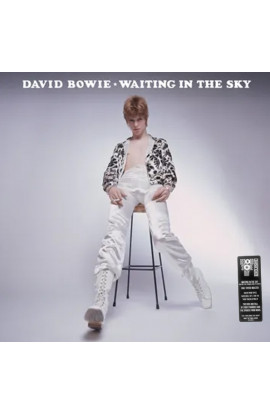 David Bowie - Waiting In The Sky (Before The Starman Came To Earth) (LP) 