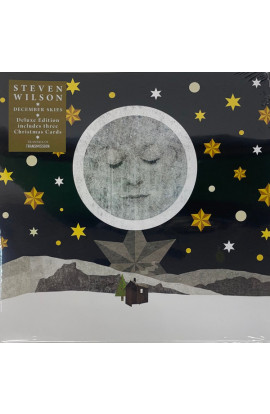 Steven Wilson - December Skies (SINGLE) 