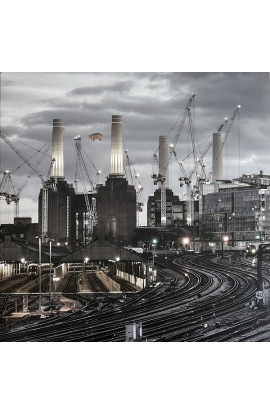Pink Floyd - Animals (LP) 