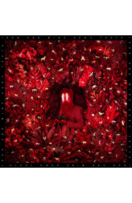 Iron and Wine - Hen's Teeth (CD) 