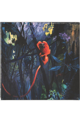 Bonnie "Prince" Billy - We Are Together Again (CD) 