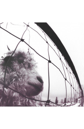 Pearl Jam - Vs. (LP) 