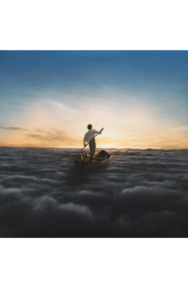 Pink Floyd - The Endless River (LP) 