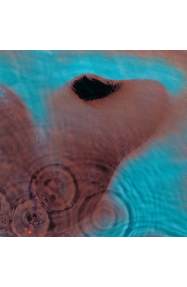 Pink Floyd - Meddle (CD) 