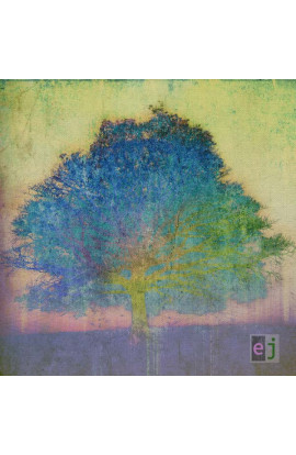 Eric Johnson - Ej