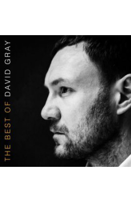 David Gray - The Best Of David Gray (CD) 