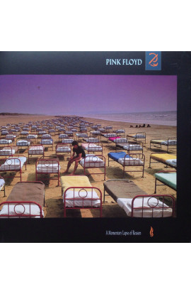 Pink Floyd - A Momentary Lapse Of Reason (LP) 