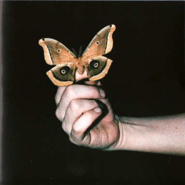 Soulwax - All Systems Are Lying (LP)