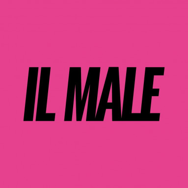 The Zen Circus - Il Male (LP) 