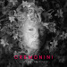 Cesare Cremonini - La Ragazza Del Futuro (CD) 