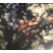 Pink Floyd - Obscured By Clouds (CD) 