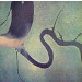 Dead Can Dance - The Serpent's Egg (LP) 