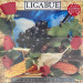 Luciano Ligabue - Lambrusco Coltelli Rose & Pop Corn (LP) 