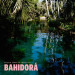 Africa Express - Africa Express Presents... Bahidorà (CD) 