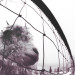 Pearl Jam - Vs. (LP) 
