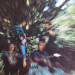 Creedence Clearwater Revival - Bayou Country (LP) 