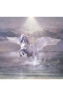 Cosmo - Sulle Ali Del Cavallo Biano (CD) 