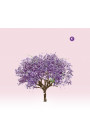 Eels - Tomorrow Morning (CD) 