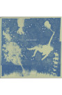 Iron and Wine - Light Verse (CD) 