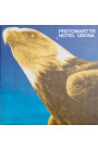 Protomartyr - Hotel Usona (CD) 