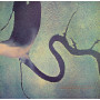Dead Can Dance - The Serpent's Egg (LP) 