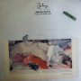 Antony and The Johnsons  - Swanlights (LP) 