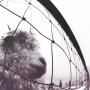 Pearl Jam - Vs. (LP) 