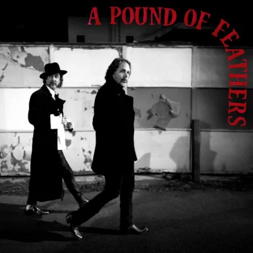 Copertina di A Pound Of Feathers