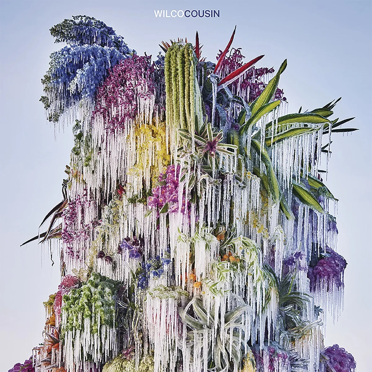 Copertina di Cousin