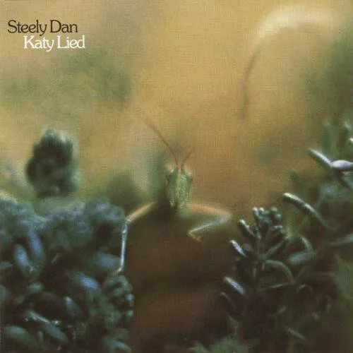 Copertina di Katy Lied