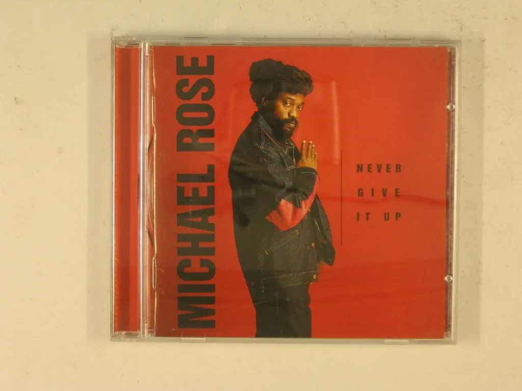 Copertina di Never Give It Up